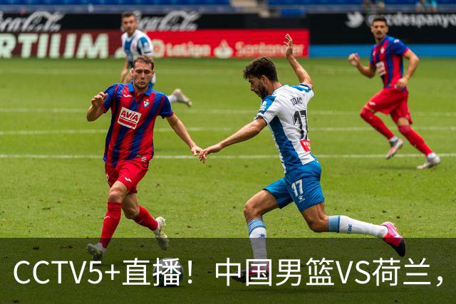CCTV5+直播！中国男篮VS荷兰，杨瀚森确定出战，郭士强重点考察后卫